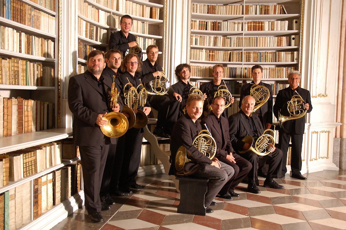Vienna Horns